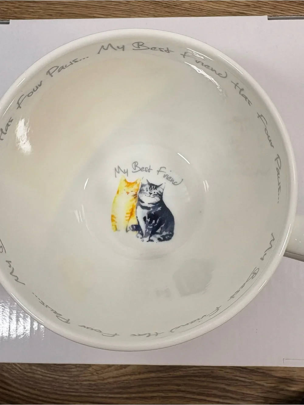 Cat Lover 16 oz Bone China Novelty Mug My Best Friend Coffee Tea Cup